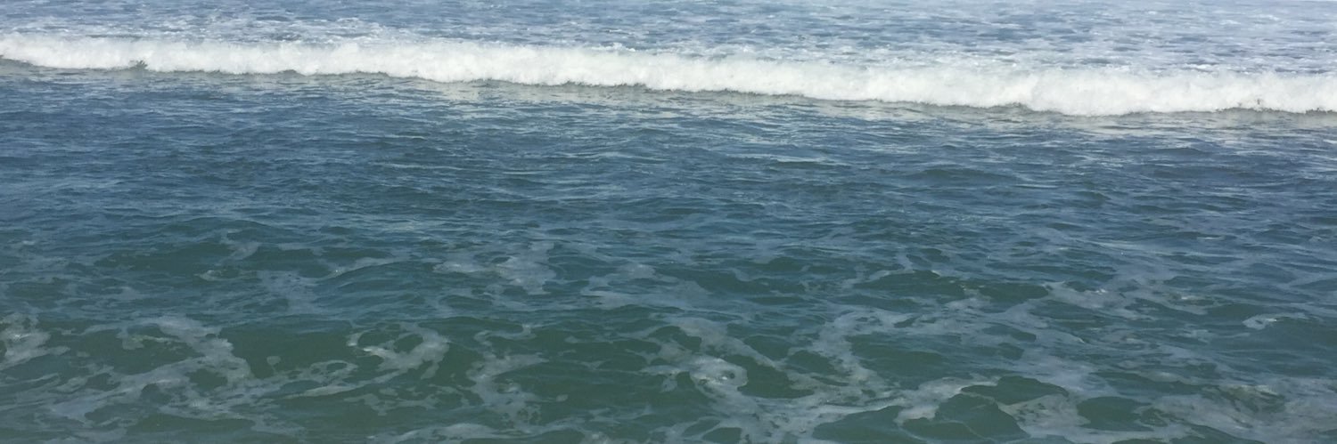 Barnes Melya banner