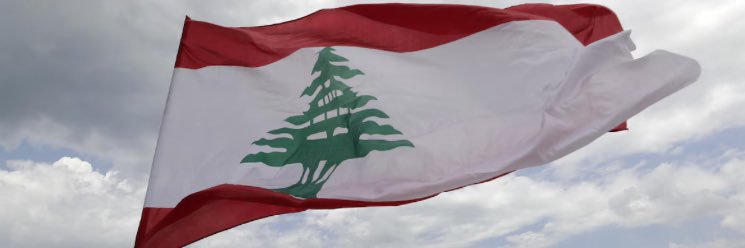 InfoSudLiban's banner