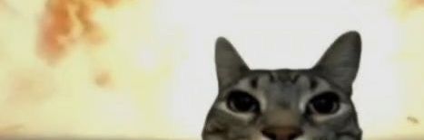 rikacheese banner