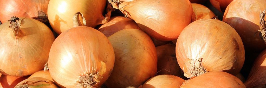 The Bloomin’ Onion | **SUBMISSIONS ALWAYS OPEN**'s banner