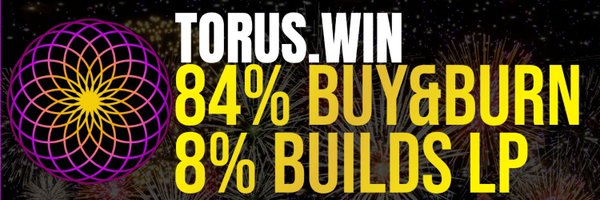 TORUSwin Profile Banner