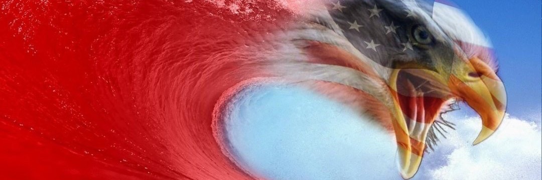 🇺🇸 Jane Q Public 🇺🇸 banner