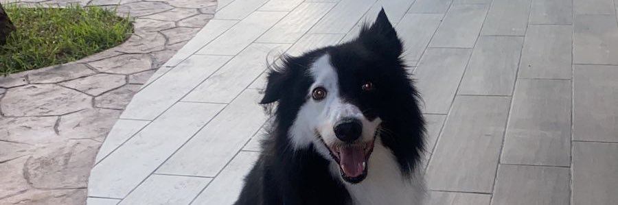 fherdr's profile banner image