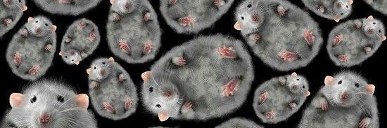 Cosmothewizard banner