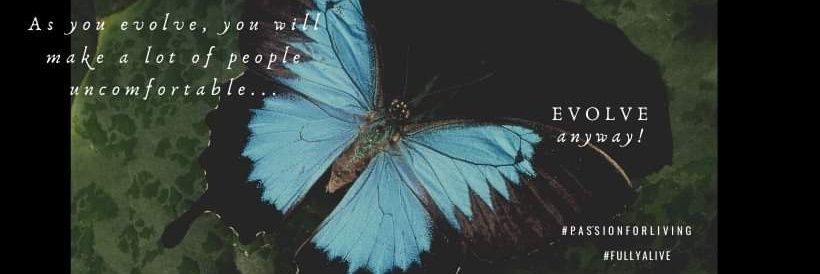 Stephanie R Howard banner
