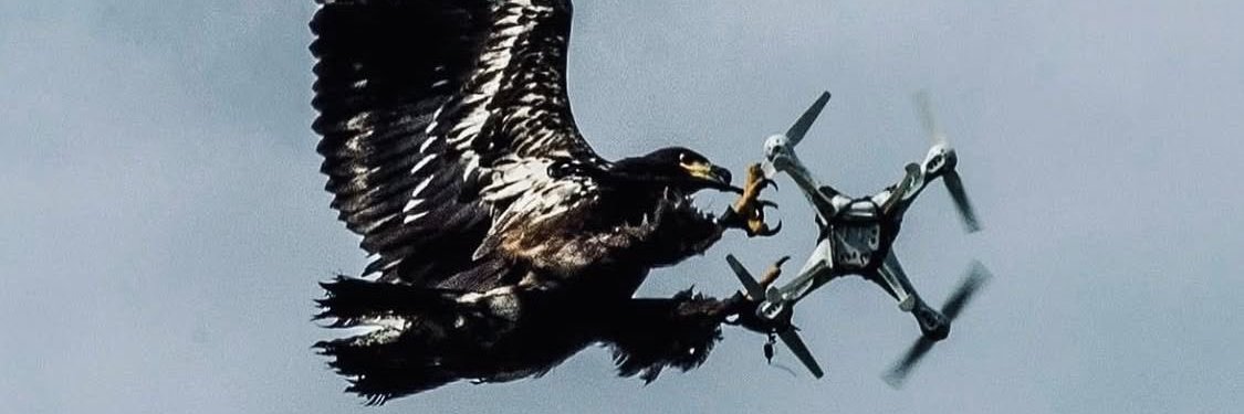 ΖΑΝΤΟΣ 2.0 banner