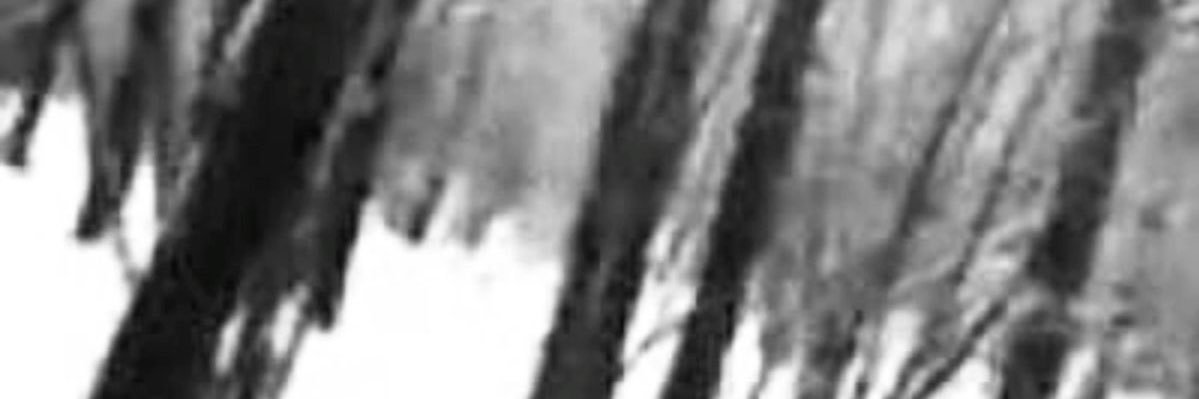 . . . banner