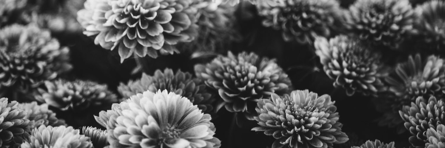 ebsentminded's profile banner image