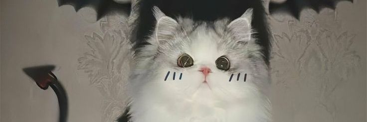 Lezz banner