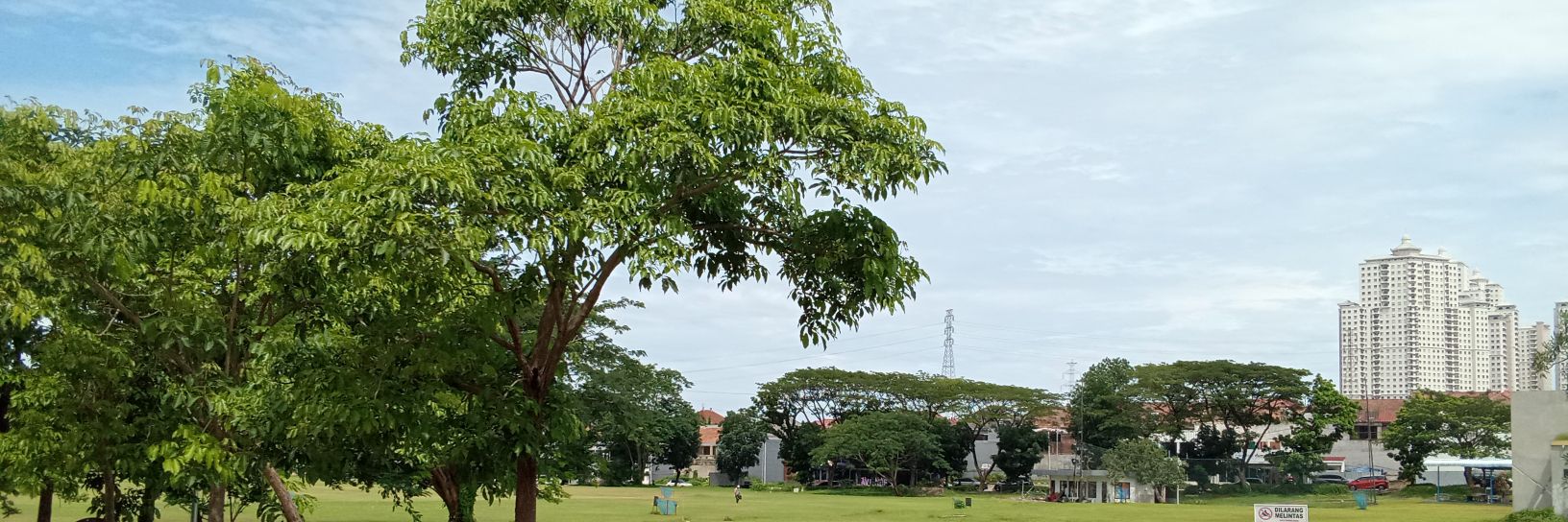 Bumblebee 🫧🌱 banner