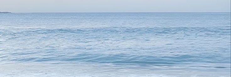 𓏲੭ Cerys. . . ✧ banner