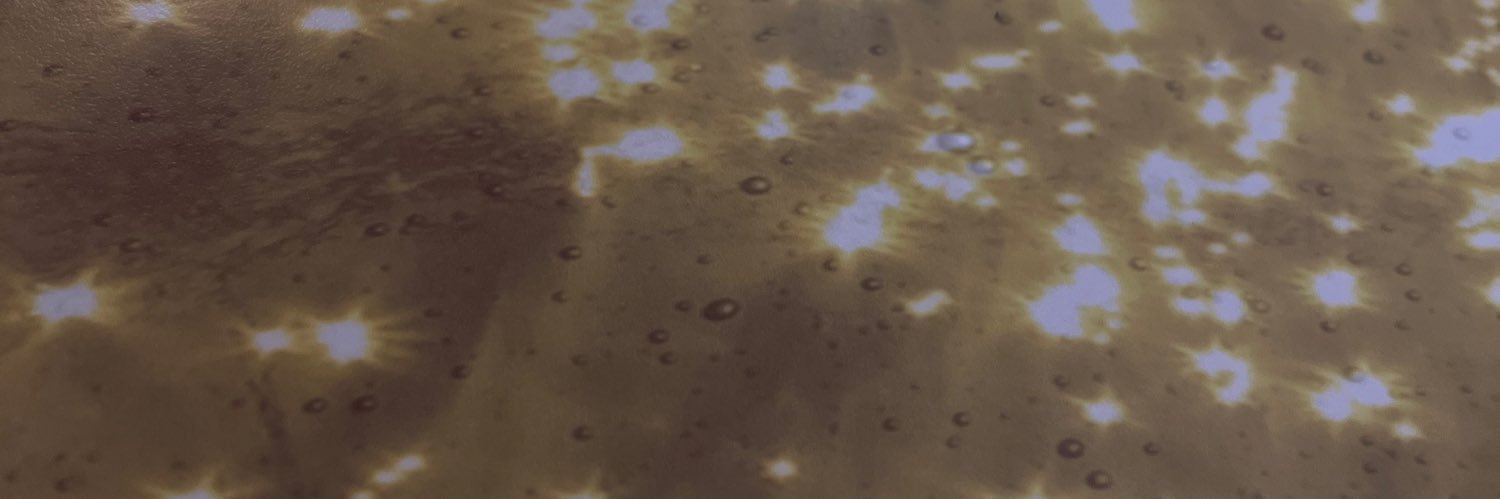 ❅꙳Yuki banner