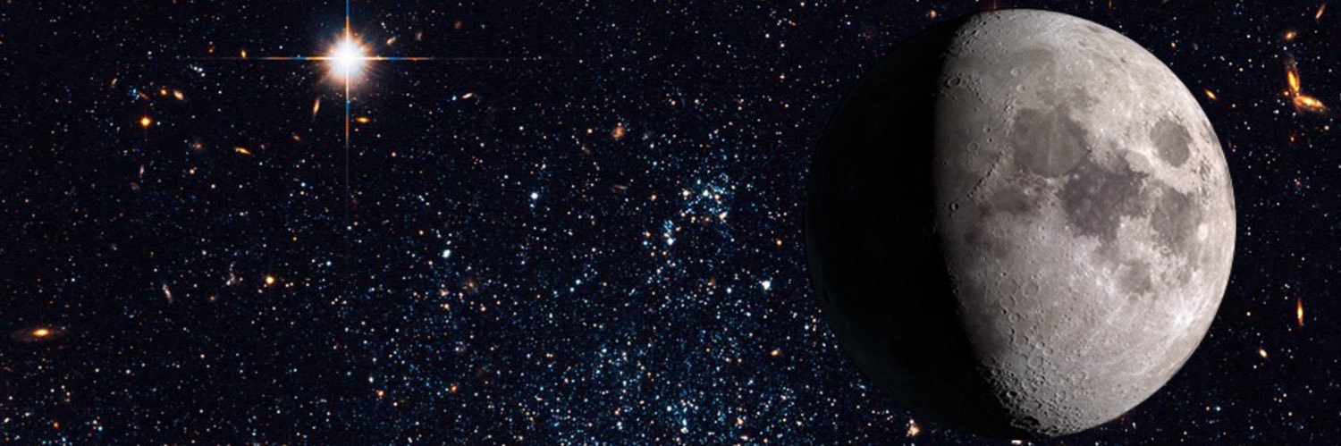 deaufird's profile banner image