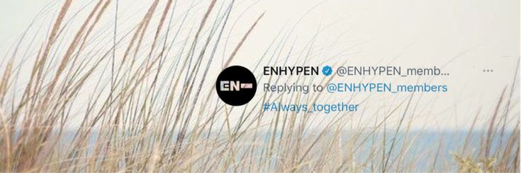 Andy ˢᵃʷ ˡʸᵏⁿ🏎 banner