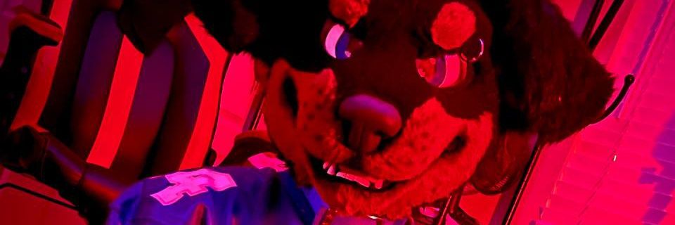 DirtypawsD's profile banner image