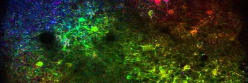 Jeremy T Chang banner