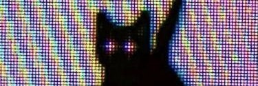 0xemrey's profile banner image
