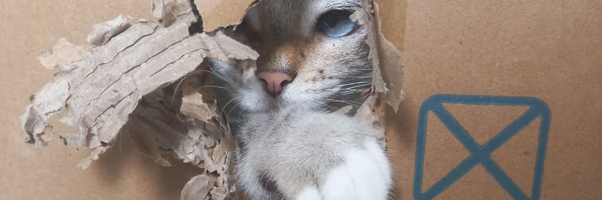 KiritoAincrand's profile banner image
