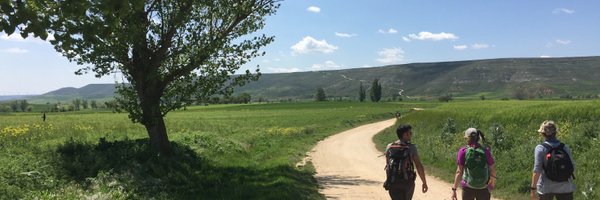 RodWallace Profile Banner