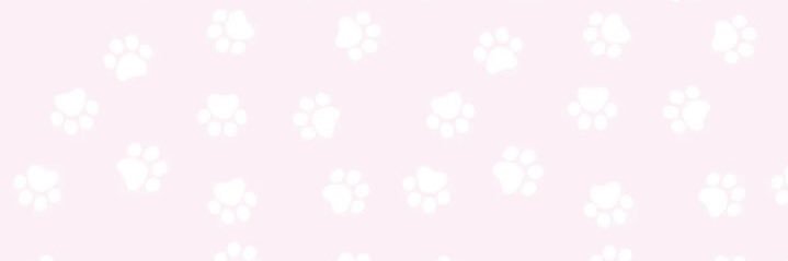 หารยูทูปพรีเมียม ෆ ทักไลน์คับ banner