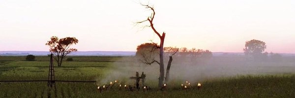 Gadempp Profile Banner