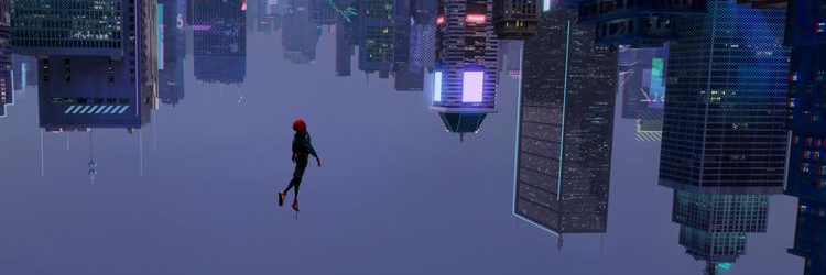 Cole Howard (BlueCheckmark) banner