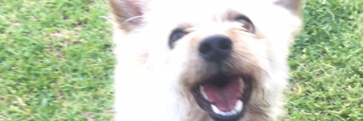 skvv_'s profile banner image