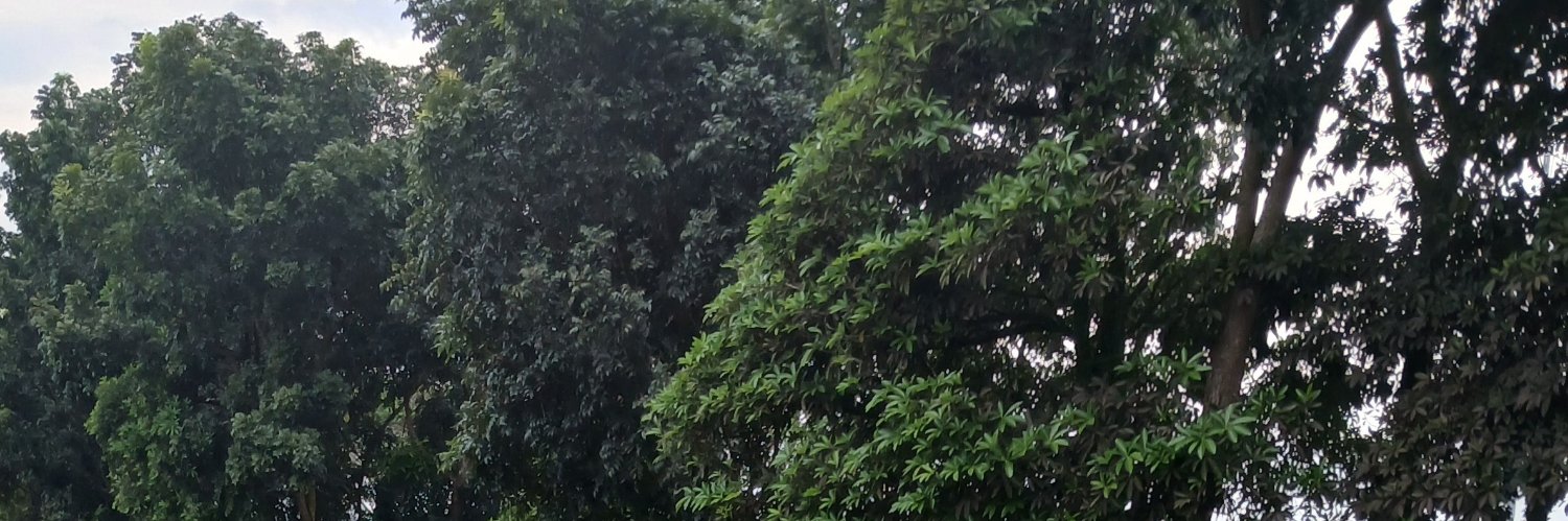 sampatrickt's profile banner image
