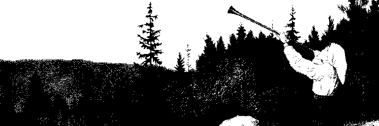 𝕹𝕴𝕮𝕺𝕷𝕰 banner