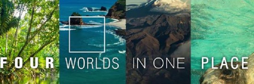 andrebchavez's profile banner image