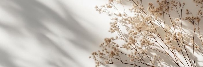 lunik9's profile banner image