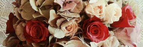 sandellacarera's profile banner image