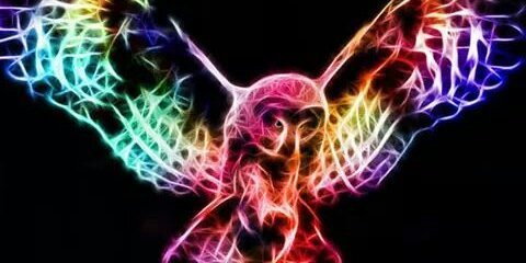 hitang19's profile banner image