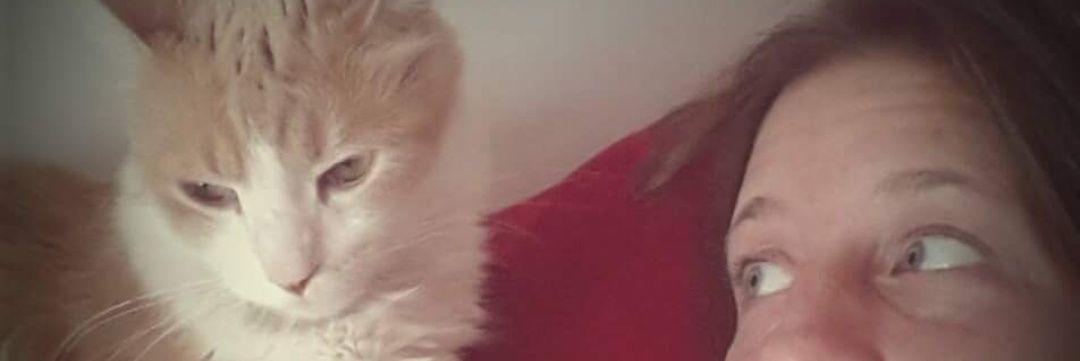 AnaSimeoni's profile banner image
