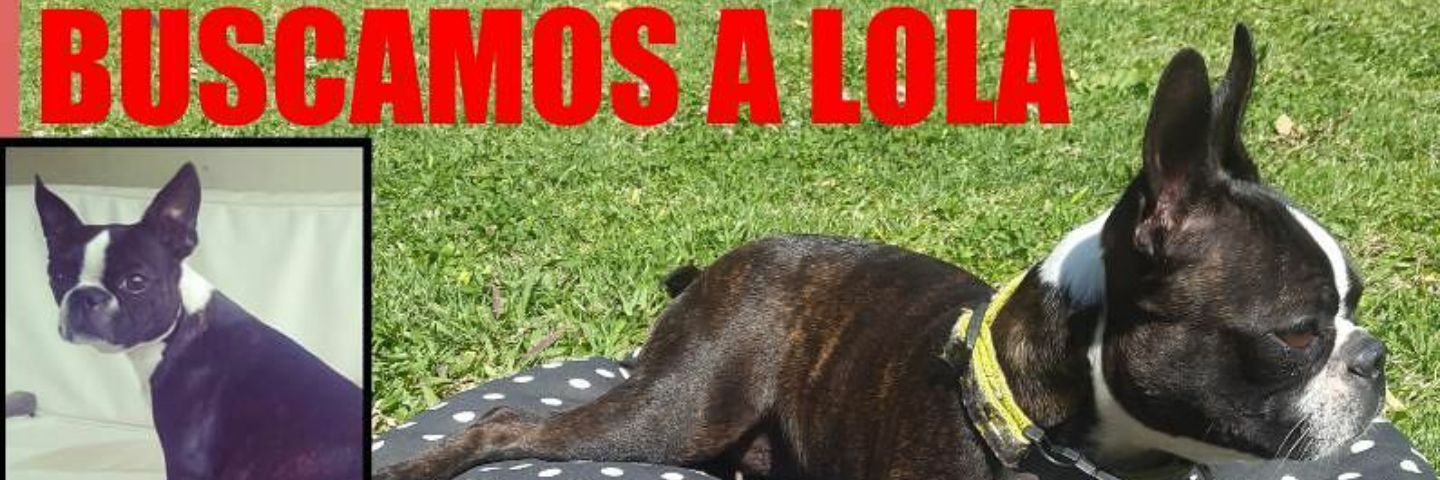 gege conti neumann banner