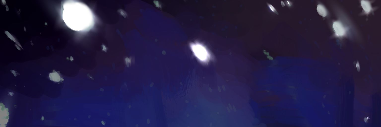 RHINEDOTTIRS MODEST HATER banner