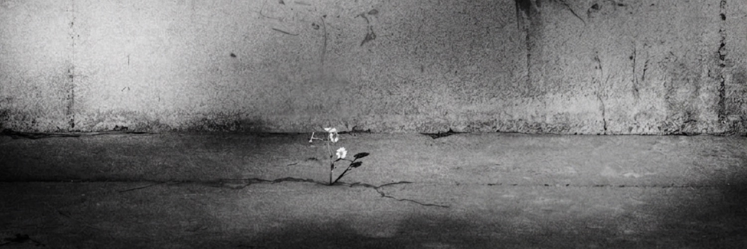fran ꕤ banner