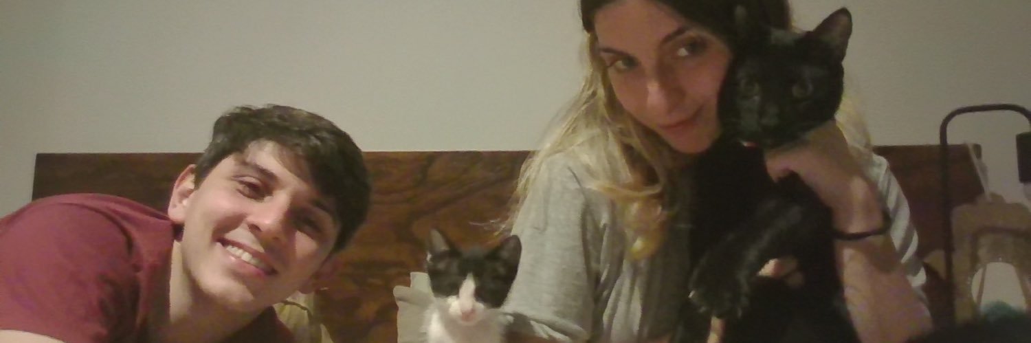 camiidestefanis's profile banner image