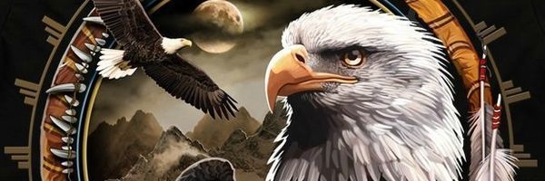 Ellis087's profile banner image