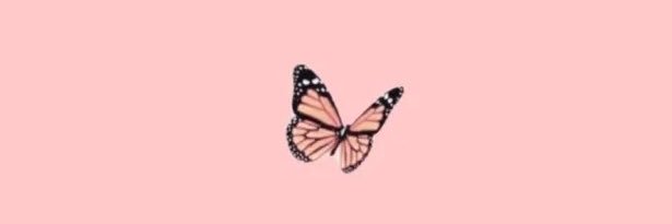 vetty_bae's profile banner image