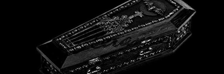zeeraezz's profile banner image