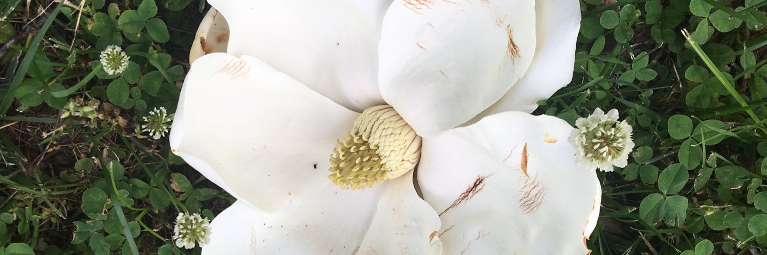 Stephanie Benge Pearson banner