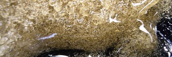 CubanGrower Profile Banner