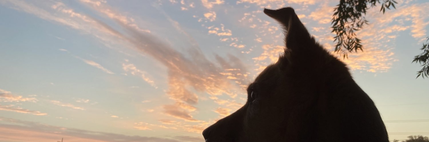 timelybuckets's profile banner image