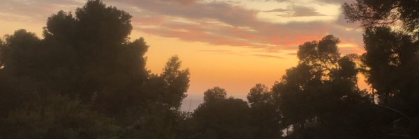 PaulaSMercado Profile Banner