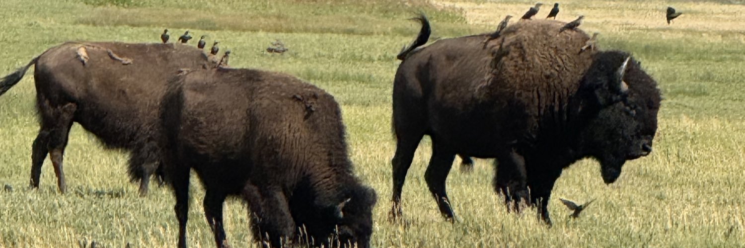 Pushkapolnarc0 banner