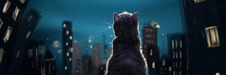 IngCarrizoza's profile banner image
