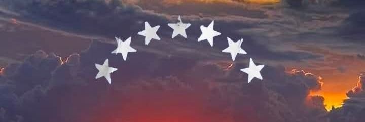 Venezuela Libre banner