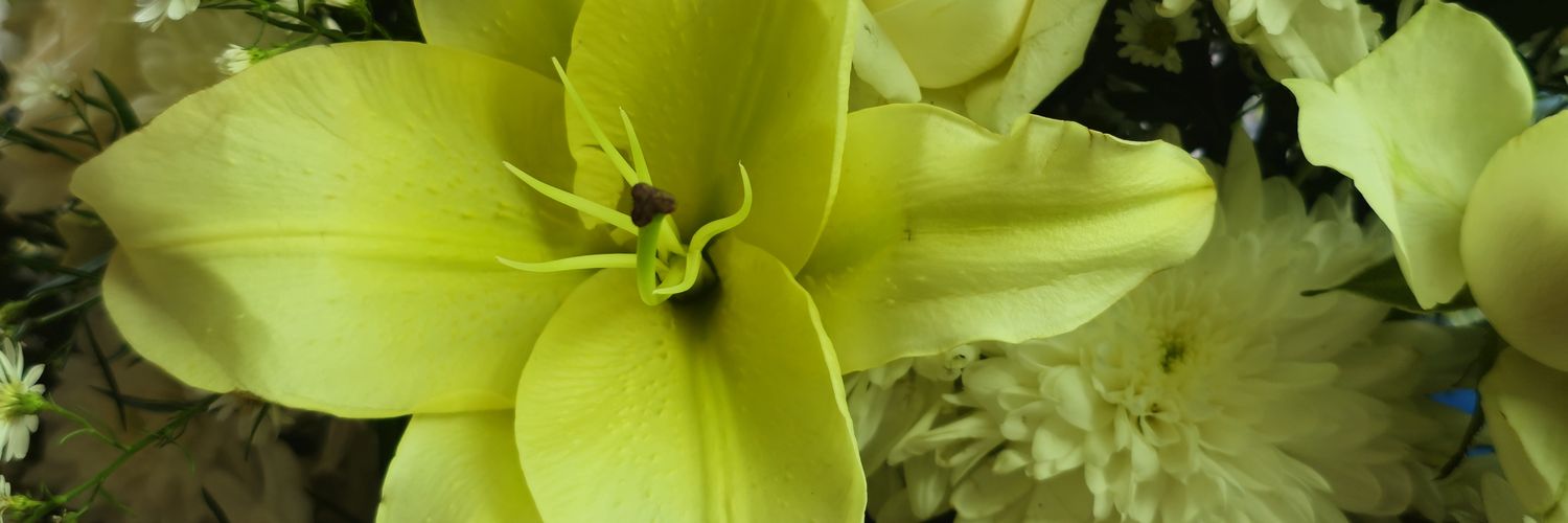 Amaliayuf's profile banner image