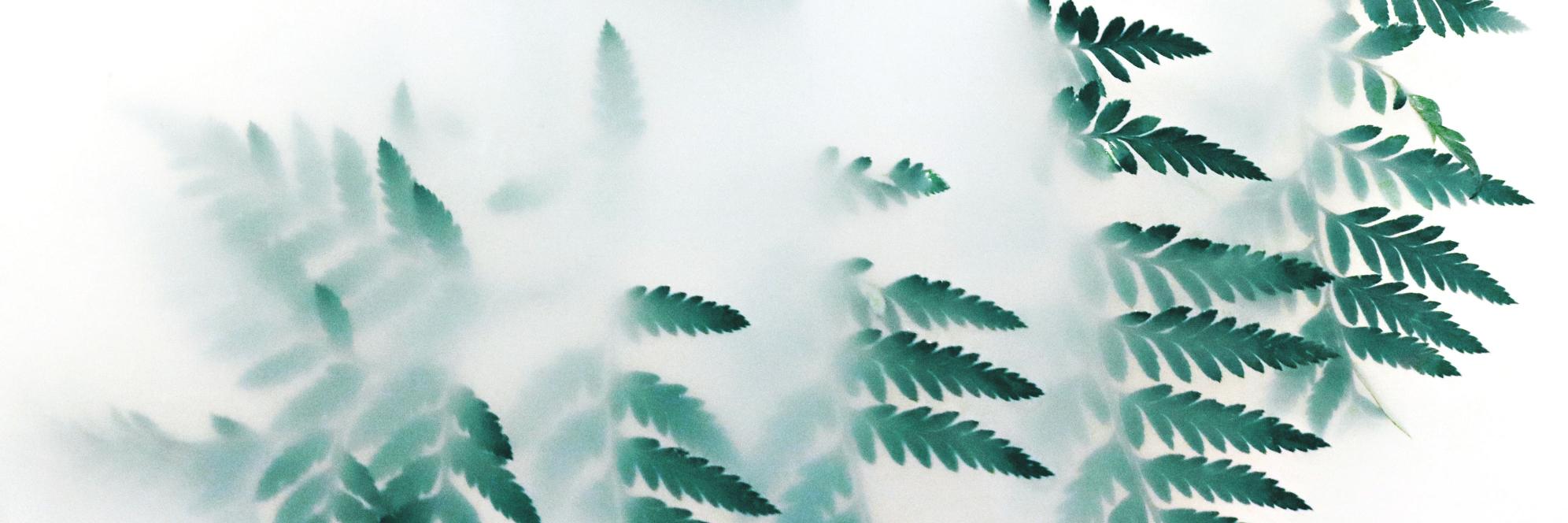 LandscapeSketch's profile banner image